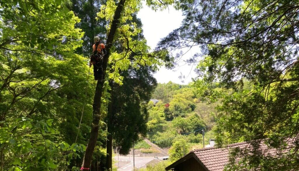 衛藤邸（氏田木材）大分県　豊後大野市_210517_27